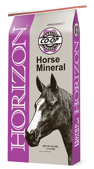 Horizon Equine Supplement