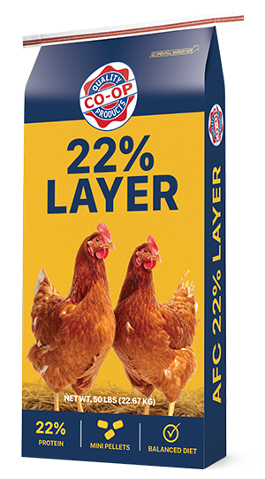 22% Layer Pellets